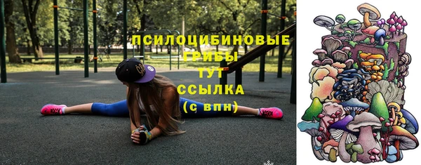 ешки Абинск