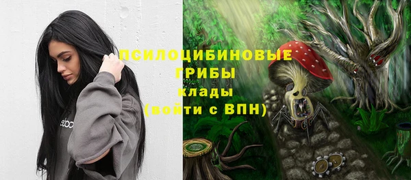 а пвп мука Абаза