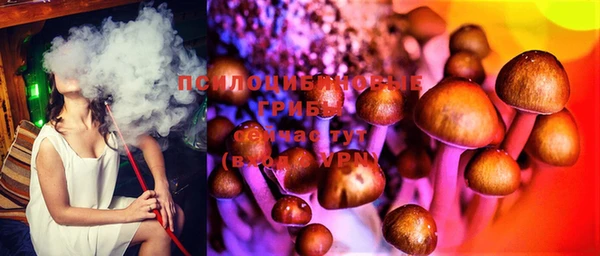 крисы Михайлов