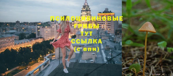 крисы Михайлов