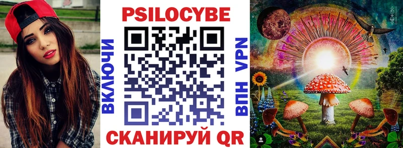 Псилоцибиновые грибы Psilocybe купить Нестеровская